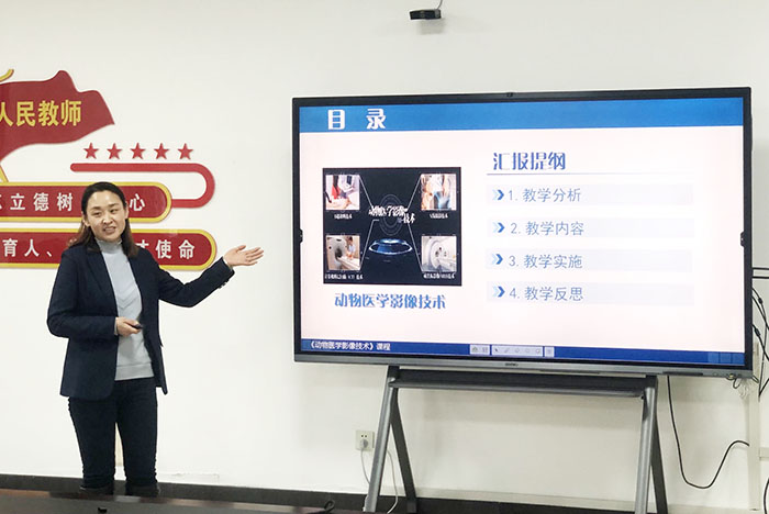 2.參賽老師1.jpg