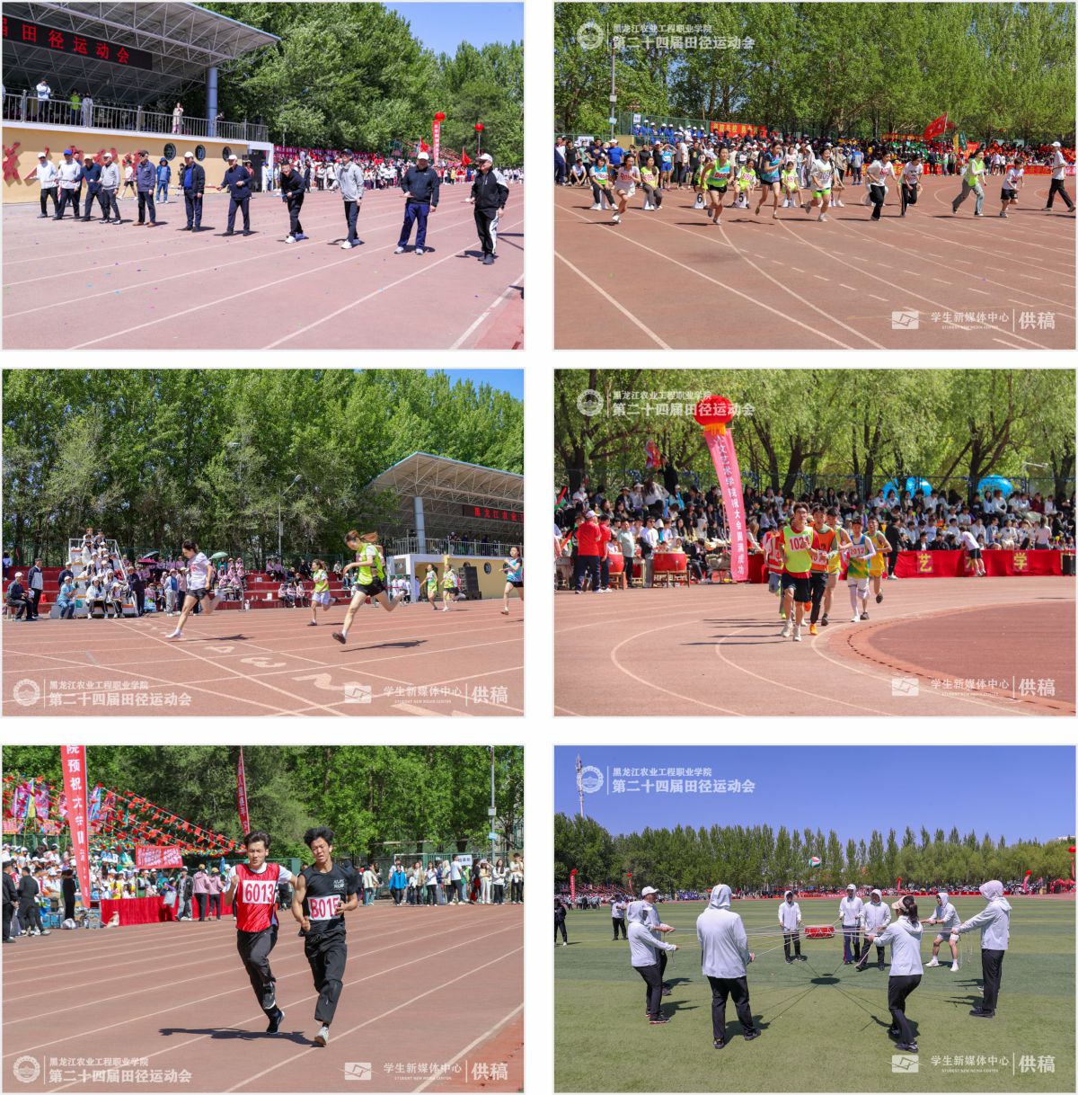 圖片分享拼圖3.jpg 圖片分享拼圖3.jpg